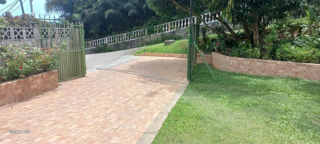 Loversnest Self Catering Anse aux Pins Dış mekan fotoğraf