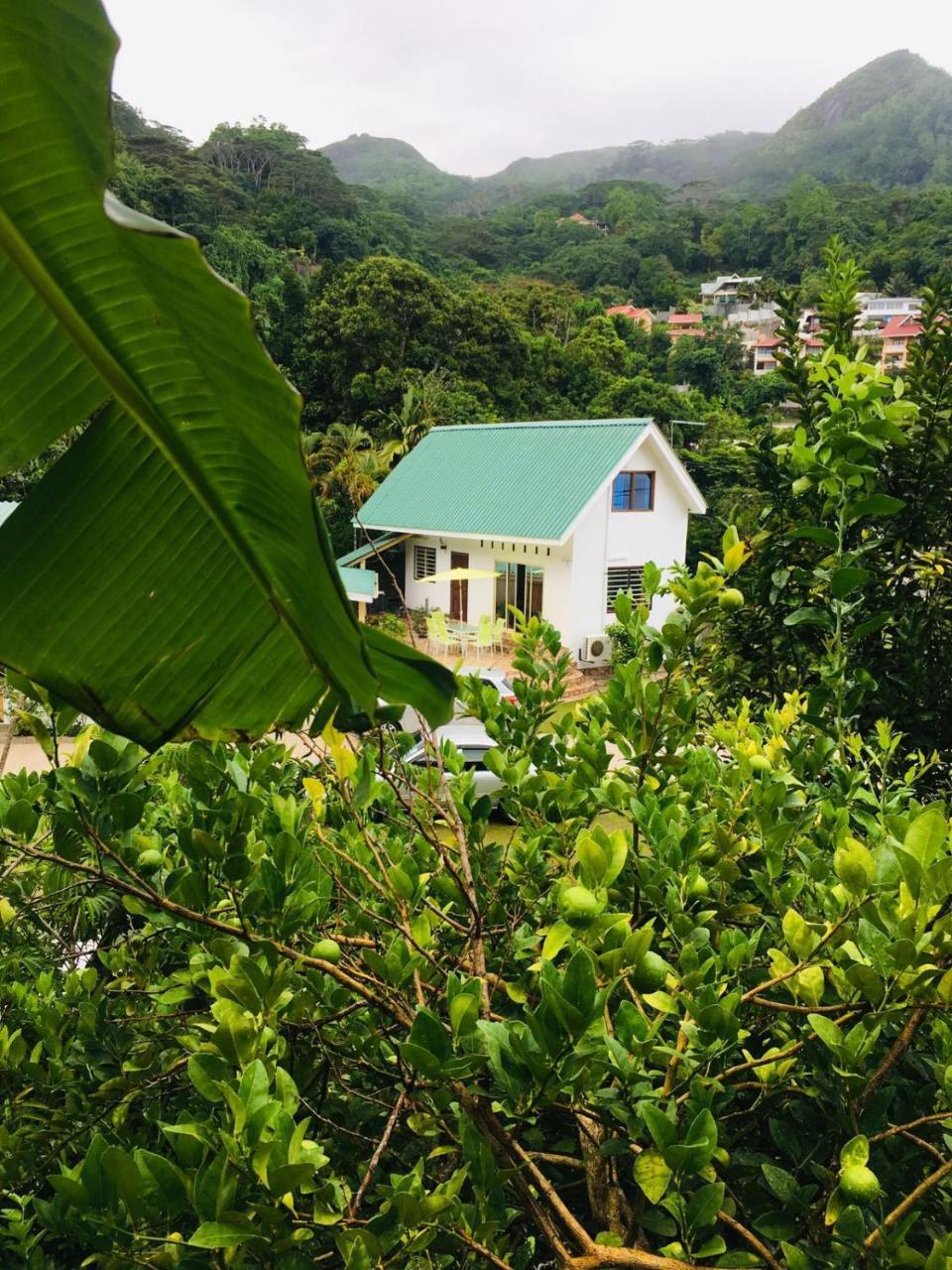 Loversnest Self Catering Anse aux Pins Dış mekan fotoğraf